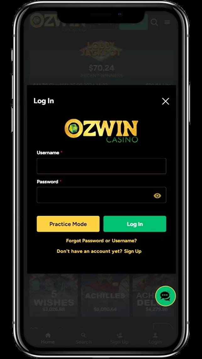 Introduction to ozwin australia